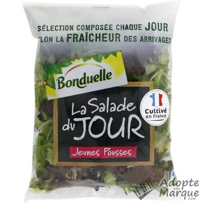 Bonduelle Salade en sachet - Salade du Jour Jeunes Pousses Le sachet de 125G