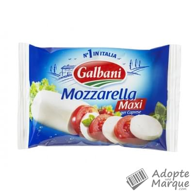 Galbani Mozzarella 19%MG Le sachet de 250G