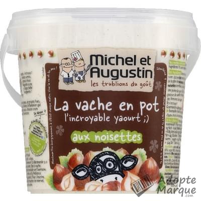 Michel et Augustin La Vache givrée - Yaourt aux Noisettes Le pot de 500G