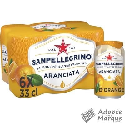 San Pellegrino Aranciata - Eau minérale naturelle gazeuse arômatisée au jus d'Orange Les 6 canettes de 33CL