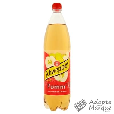Schweppes Pomm' - Boisson Gazeuse Saveur Pomme "La bouteille de 1,5L"