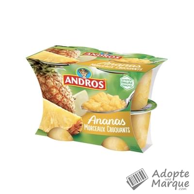 Andros Dessert Ananas avec Morceaux croquants Les 4 pots de 100G