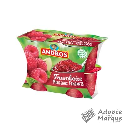 Andros Dessert Framboise avec Morceaux fondants Les 4 pots de 100G