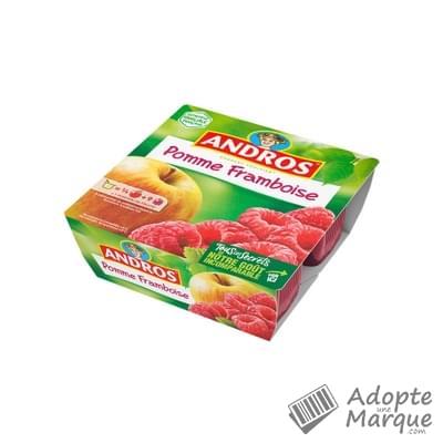 Andros Dessert Pomme Framboise Les 4 pots de 100G