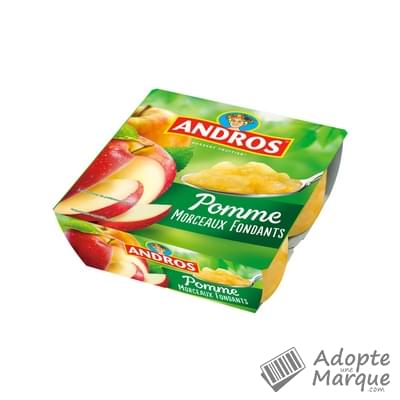 Andros Dessert Pommes avec Morceaux fondants Les 4 pots de 100G
