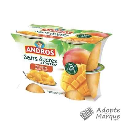 Andros Dessert Sans Sucres Ajoutés Mangue avec Morceaux Les 4 pots de 97G