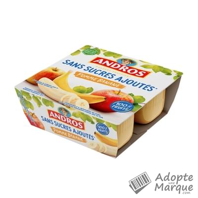 Andros Dessert Sans Sucres Ajoutés Pomme Banane Les 4 pots de 100G