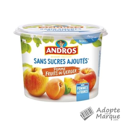 Andros Dessert Sans Sucres Ajoutés Pomme Fruits du Verger Le pot de 600G