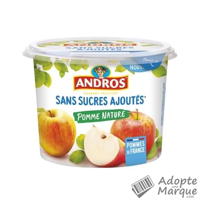 Andros Dessert Sans Sucres Ajoutés Pomme Nature Le pot de 600G