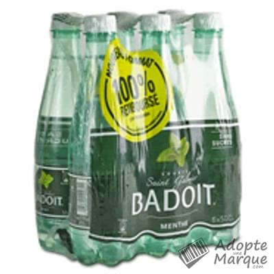 Badoit Boisson à l'eau minérale pétillante - Saveur Menthe - Sans sucres Les 6 bouteilles de 50CL