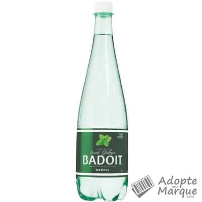 Badoit Boisson à l'eau minérale pétillante - Saveur Menthe - Sans sucres La bouteille de 1L