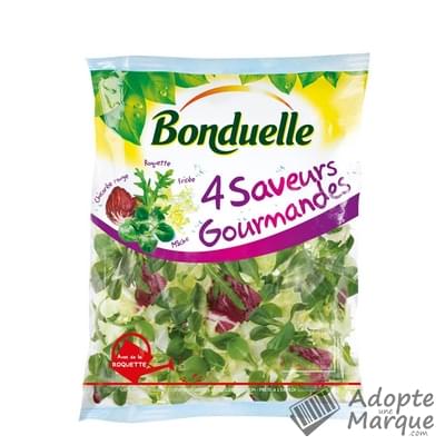 Bonduelle Salade en sachet - 4 Saveurs Gourmandes Le sachet de 160G
