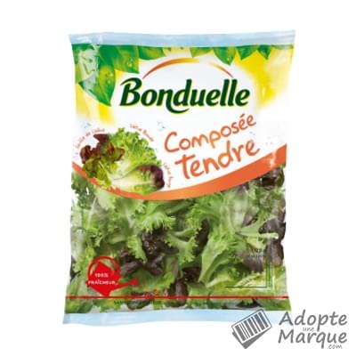 Bonduelle Salade en sachet - Composée Tendre Le sachet de 125G