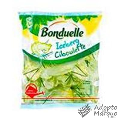 Bonduelle Salade en sachet - Iceberg & Ciboulette Le sachet de 280G