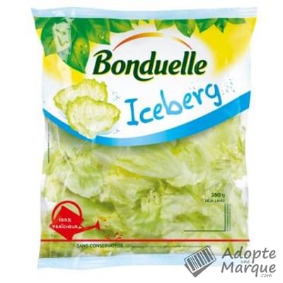 Bonduelle Salade en sachet - Iceberg Le sachet de 280G