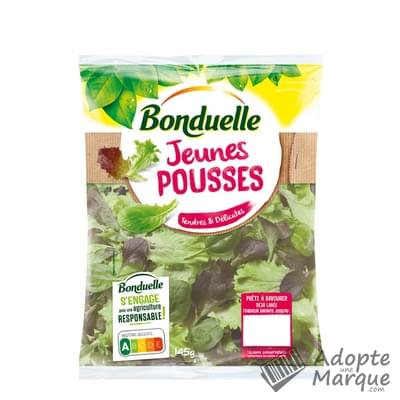 Bonduelle Salade en sachet - Jeunes Pousses Le sachet de 145G