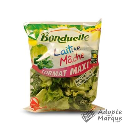 Bonduelle Salade en sachet - Laitue & Mâche Le sachet de 220G