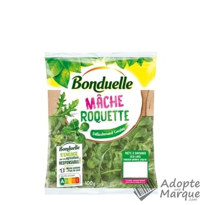 Bonduelle Salade en sachet - Mâche & Roquette Le sachet de 100G