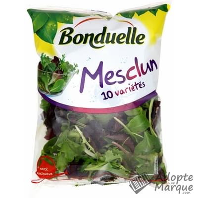 Bonduelle Salade en sachet - Mesclun 10 variétés Le sachet de 145G