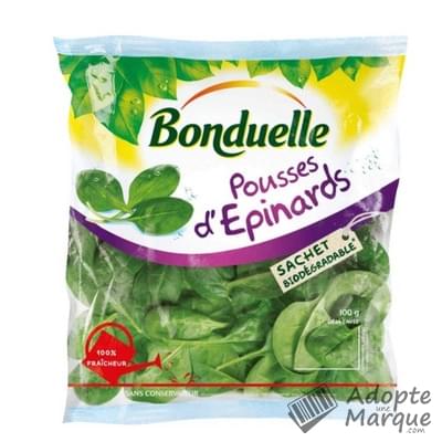 Bonduelle Salade en sachet - Pousses d'Epinards Le sachet de 100G