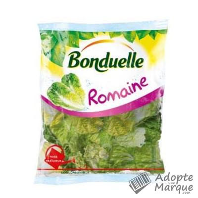 Bonduelle Salade en sachet - Romaine Le sachet de 200G
