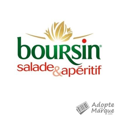 Boursin Salade & Apéritif - Ail & Fines Herbes Le pot de 120G