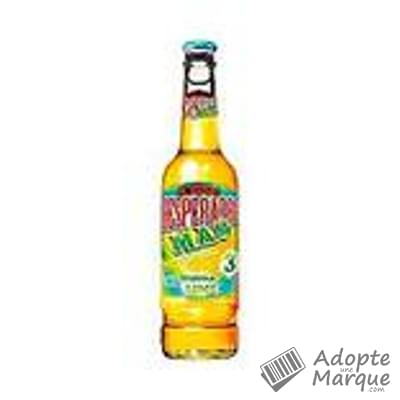 Desperados Lime - Bière aromatisée Tequila, Citron Vert & Cactus - 3% vol. La bouteille de 33CL