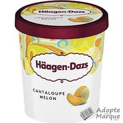 Häagen-Dazs Crème glacée Cantaloupe Melon Le pot de 460ML