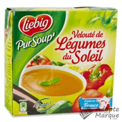LIEBIG - SOUPE A LA CAMPAGNARDE Brique de 1L - Soupes et Croutons/Soupes en  Brique LIEBIG 