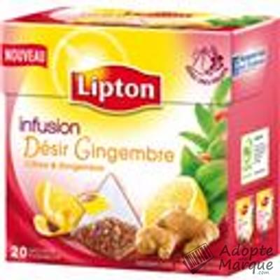 Lipton Infusion Désir Gingembre (Citron & Gingembre) La boîte de 20 sachets Pyramid®