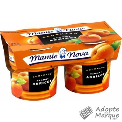 Mamie Nova Dessert Gourmand Abricot Les 2 pots de 150G