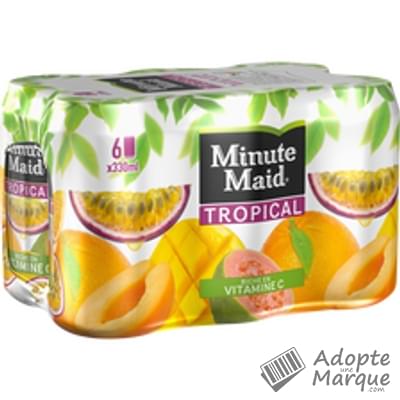 Minute Maid Jus de fruits Tropical Les 6 canettes de 33CL