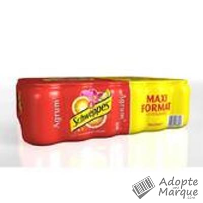 Schweppes Agrum' - Boisson Gazeuse Rafraîchissante Les 24 canettes de 33CL
