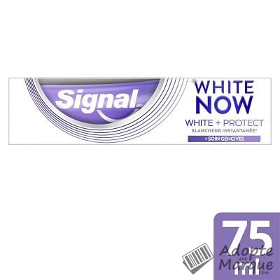 Signal Dentifrice White Now White + Protect Soin Gencive Le tube de 75ML