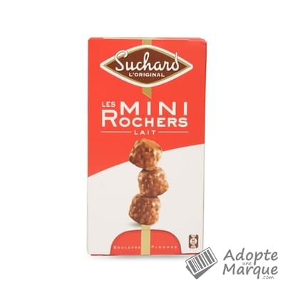 Suchard Mini Rocher au Chocolat au Lait recouvert d'éclats de Noisettes fourré au Praliné La boîte de 192G