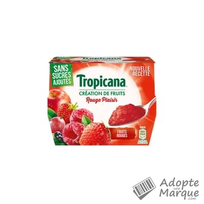 Tropicana Dessert aux fruits Rouge Plaisir Les 4 pots de 95G - 380G