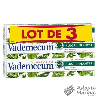 Vademecum Dentifrice Fluor & Plantes Les 3 tubes de 75ML