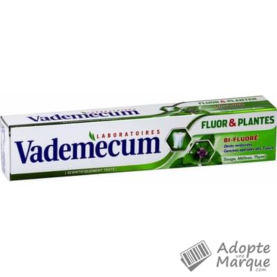 Vademecum Dentifrice Fluor & Plantes Le tube de 75ML