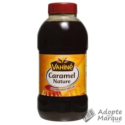 LOT DE 3 - VAHINE Caramel liquide 700g